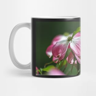 Dogwood Blossoms Mug